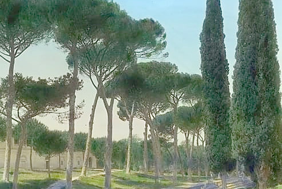 A stand of pines printed as four process plates, slightly out of register